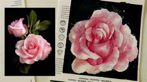 Come disegnare e dipingere una Rosa REALISTICA 